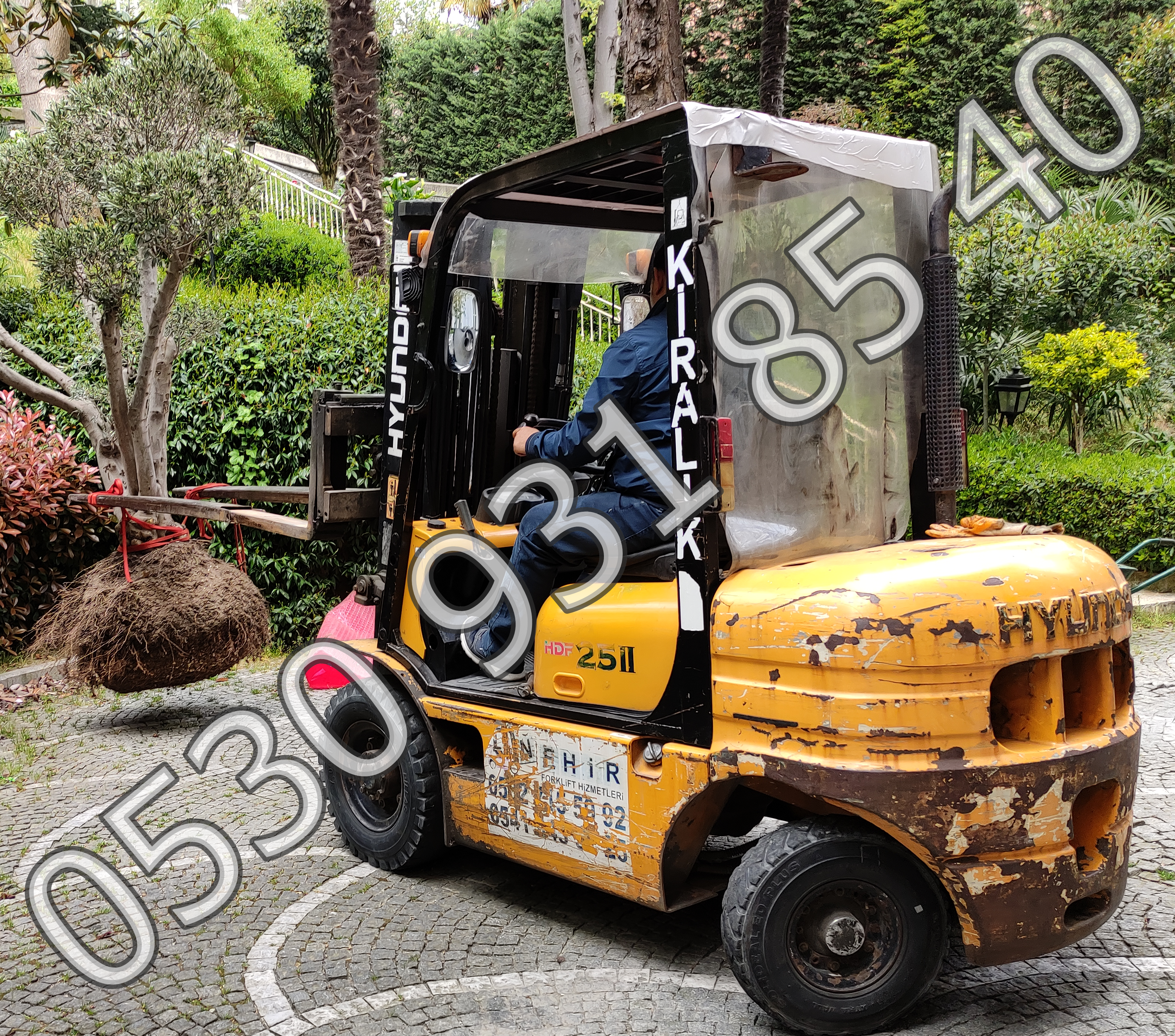 kireçburnu kiralık forklift - kireçburnu forklift kiralama